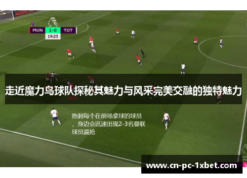 走近魔力鸟球队探秘其魅力与风采完美交融的独特魅力