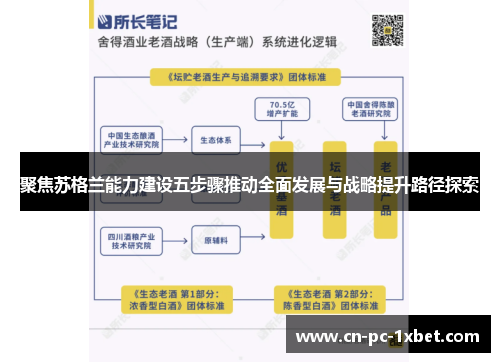 聚焦苏格兰能力建设五步骤推动全面发展与战略提升路径探索