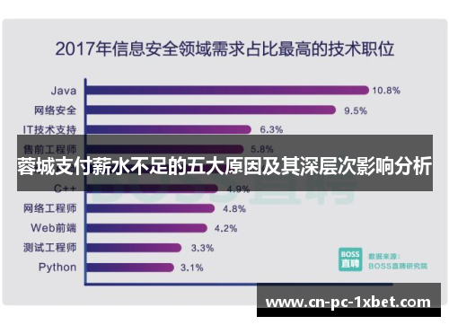 蓉城支付薪水不足的五大原因及其深层次影响分析 蓉城支付薪水不足的五大原因及其深层次影响分析