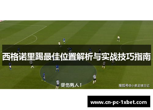 西格诺里踢最佳位置解析与实战技巧指南 西格诺里踢最佳位置解析与实战技巧指南
