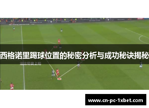 西格诺里踢球位置的秘密分析与成功秘诀揭秘 西格诺里踢球位置的秘密分析与成功秘诀揭秘
