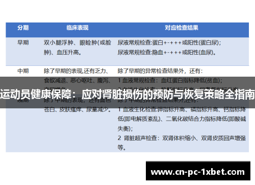 运动员健康保障：应对肾脏损伤的预防与恢复策略全指南